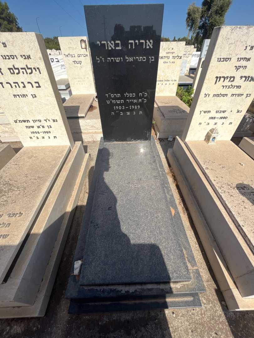 קברו של אריה בארי