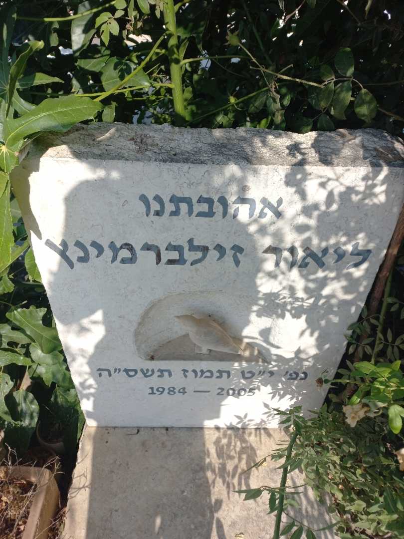 קברו של ליאור זילברמינץ. תמונה 2