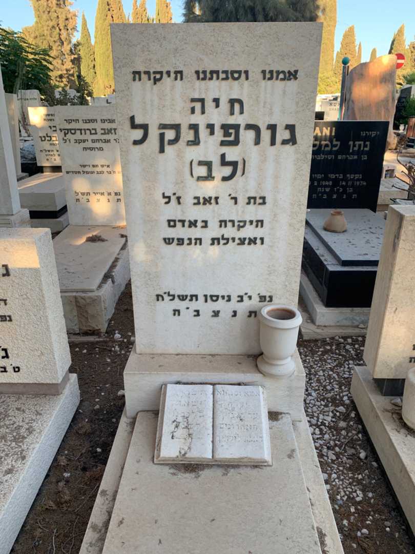 קברו של חיה גורפינקל לב. תמונה 1