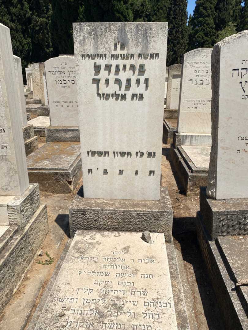 קברו של חנה שמולביץ