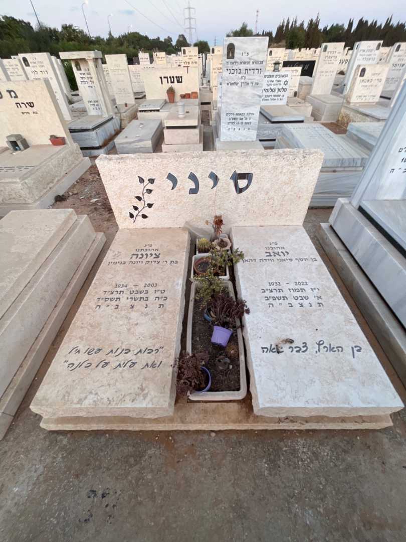 קברו של יואב סיני. תמונה 2