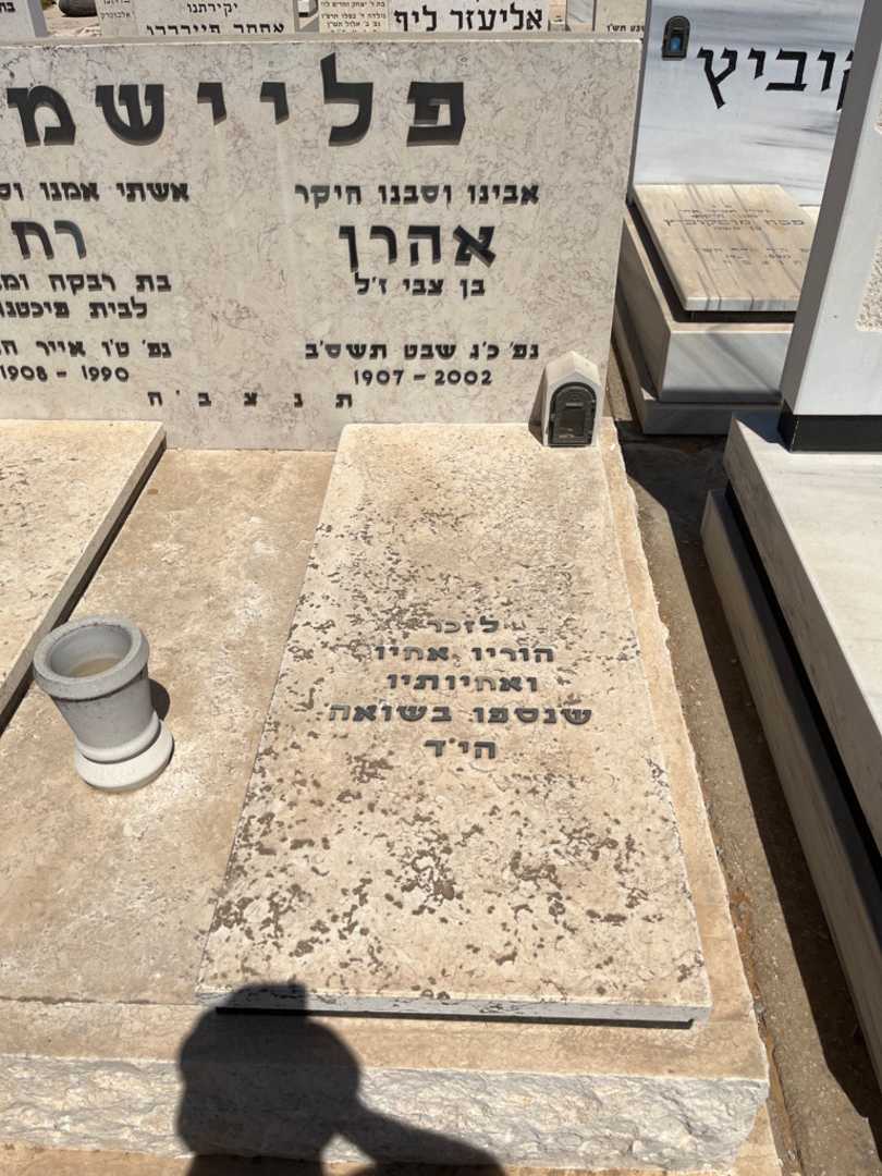 קברו של אהרן פליישמן. תמונה 1