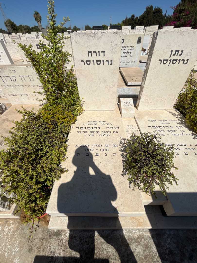 קברו של דורה גרוסוסר. תמונה 2