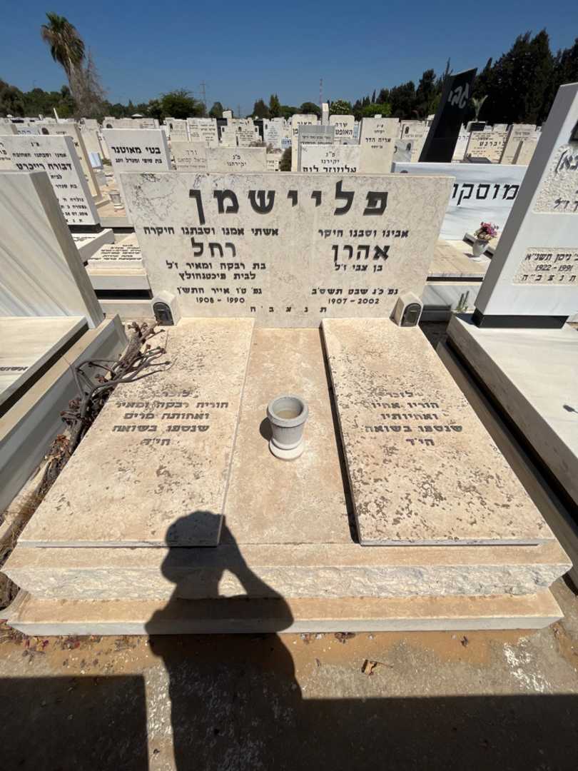 קברו של אהרן פליישמן. תמונה 2