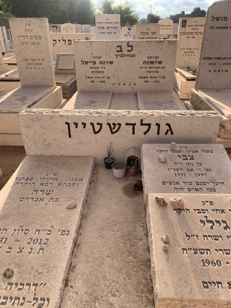 קברו של גילי גולדשטיין. תמונה 1