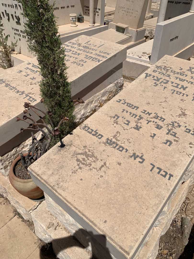 קברו של אהרון אביקציץ. תמונה 1