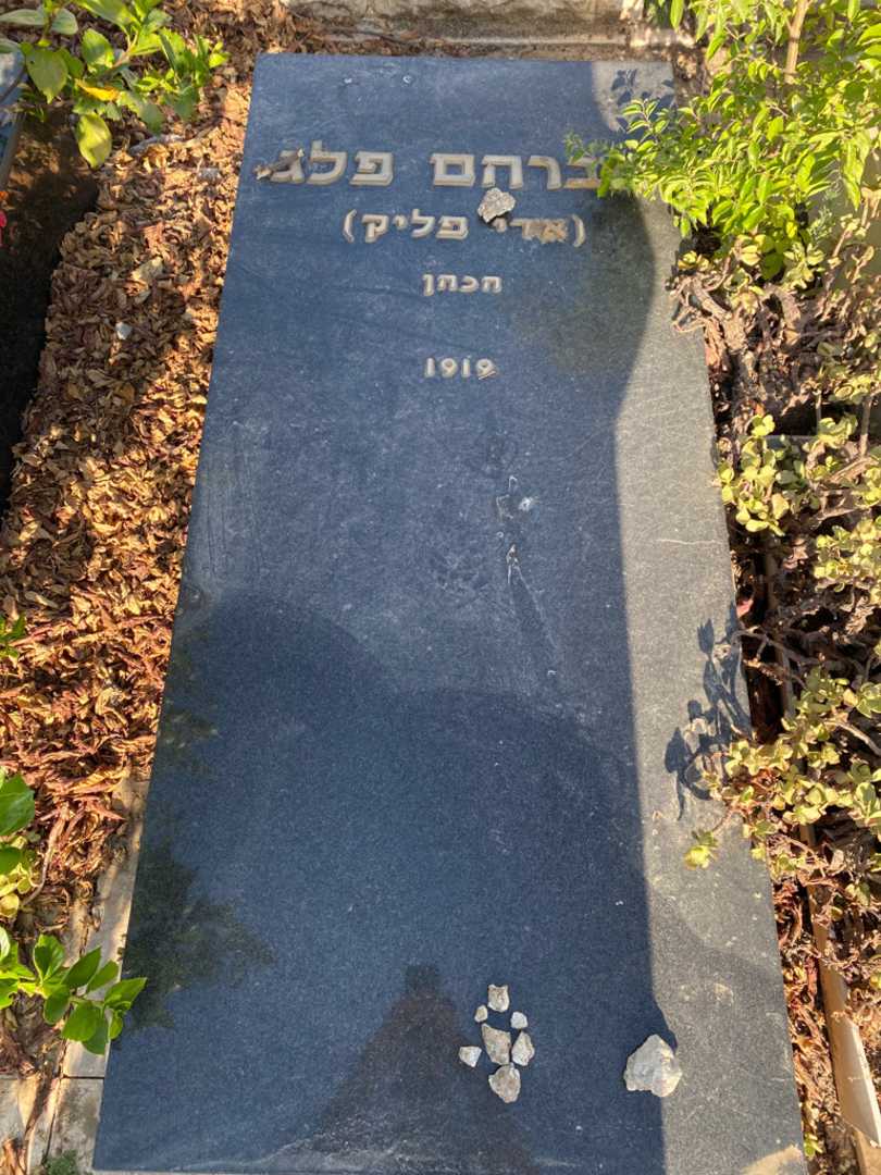 קברו של אברהם "אדי פליק הכהן" פגל. תמונה 1