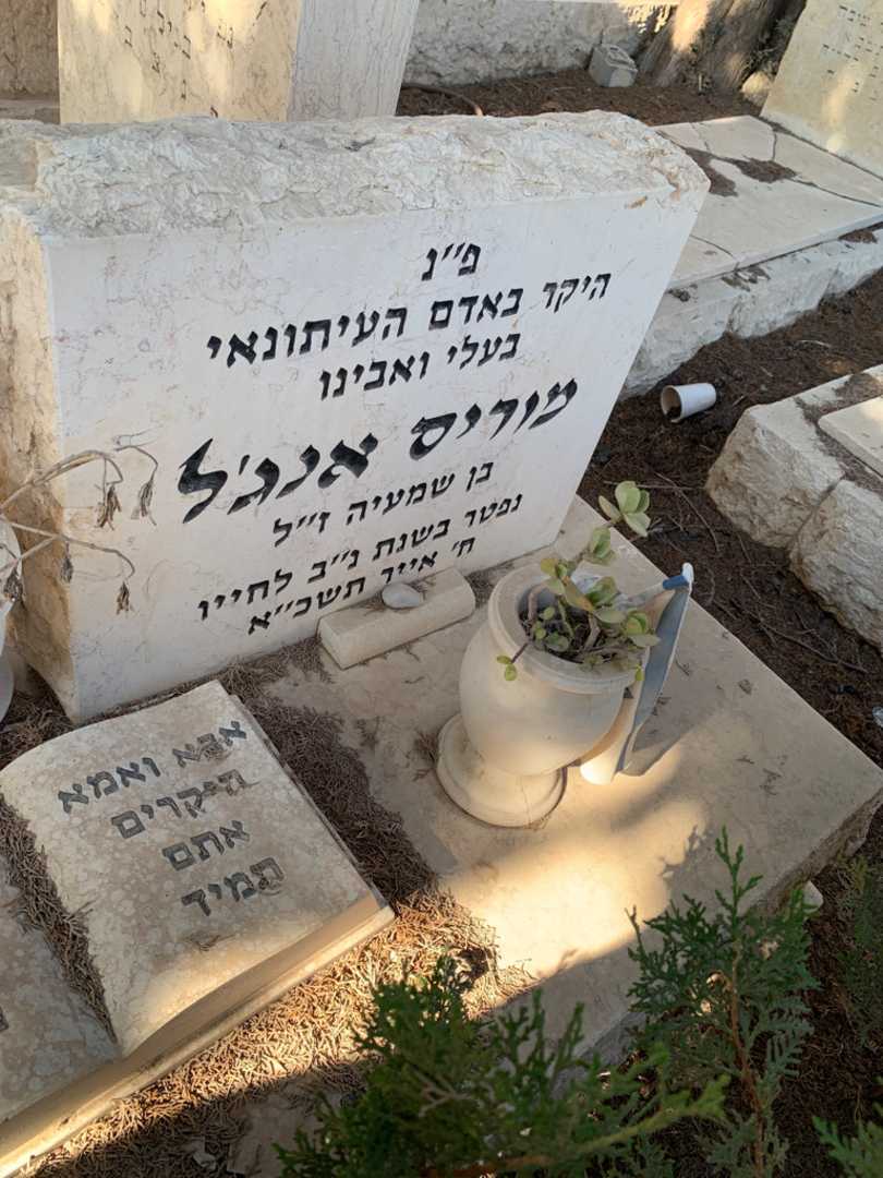 קברו של דינה אנג׳ל. תמונה 4