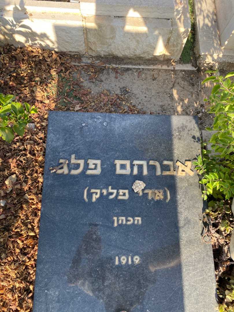 קברו של אברהם "אדי פליק הכהן" פגל. תמונה 2