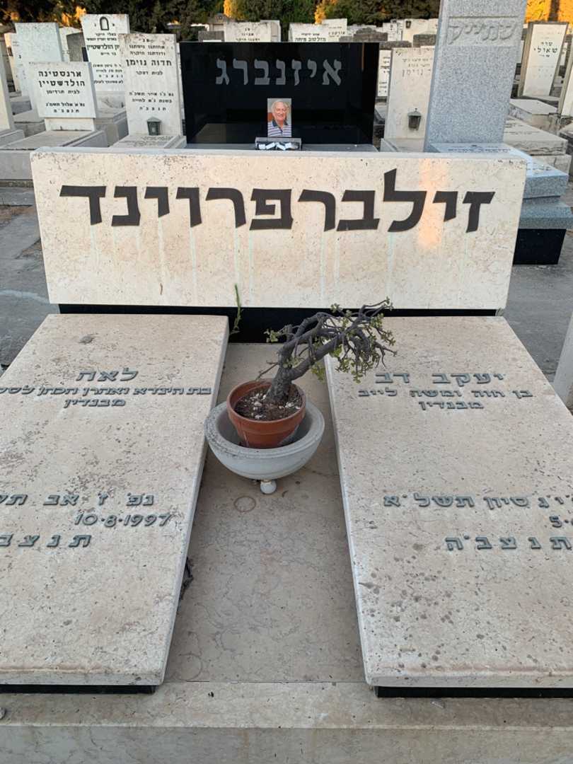 קברו של לאה דילברפרוינד. תמונה 1
