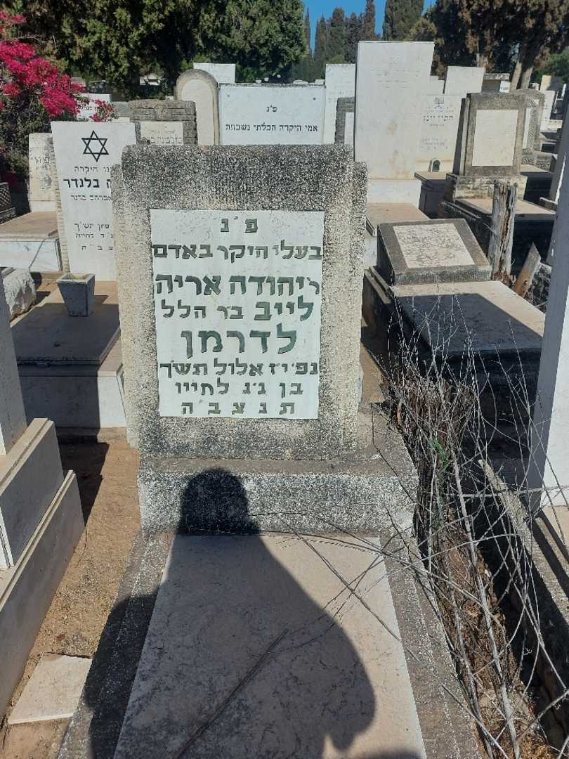 קברו של יהודה אריה לייב לדרמן
