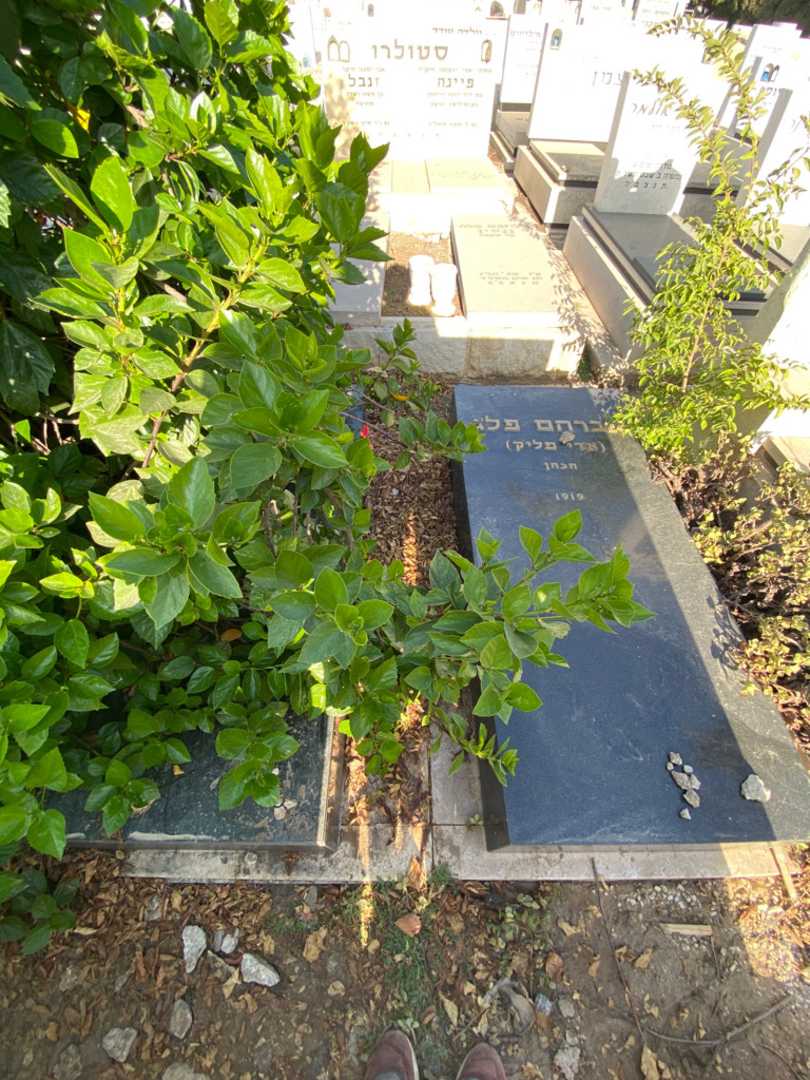 קברו של אברהם "אדי פליק הכהן" פגל. תמונה 3