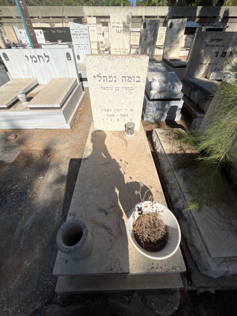 קברו של בומה נפתלי