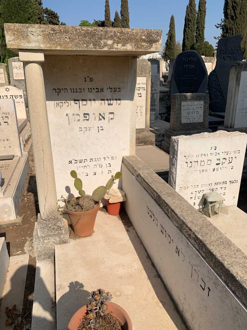 קברו של משה יוסף "ליקא" קאופמן