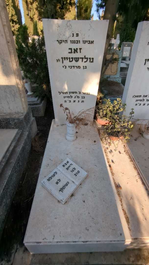 קברו של זאב גולדשטיין. תמונה 1