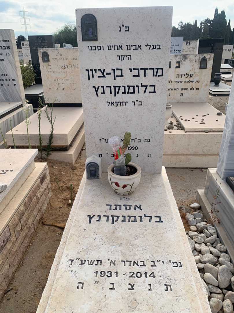 קברו של אסתר בלומנקרנץ
