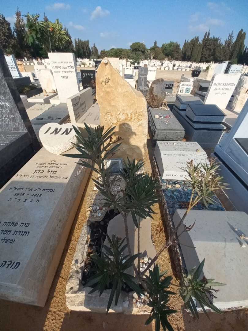 קברו של אורנה זמיר. תמונה 2