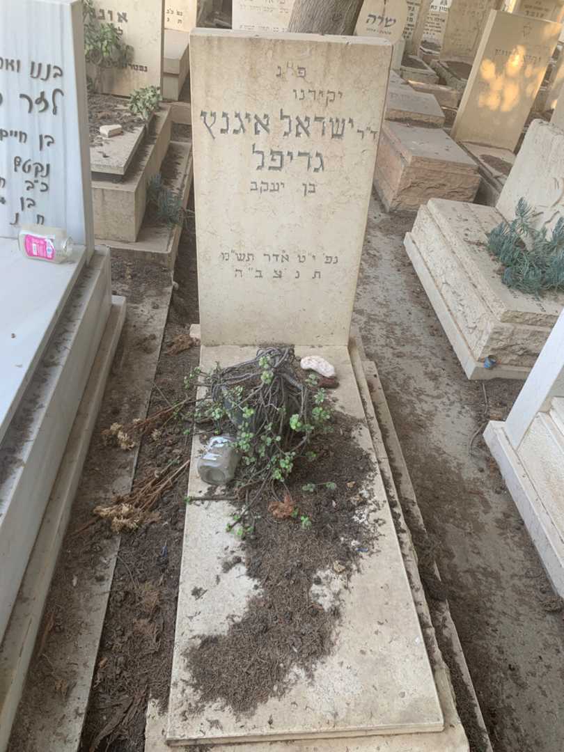קברו של ישראל איגנץ גריפל