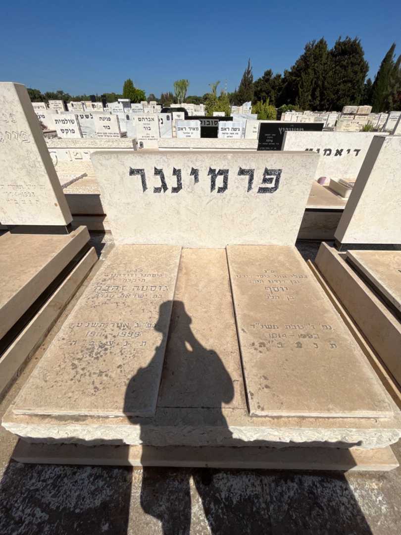 קברו של גוסטה זהבה פרמינגר. תמונה 1