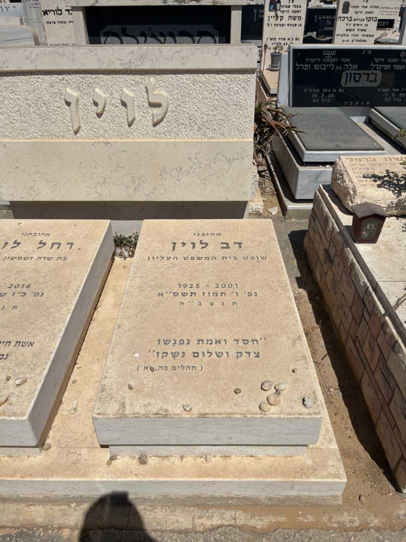 קברו של דב לוין. תמונה 1