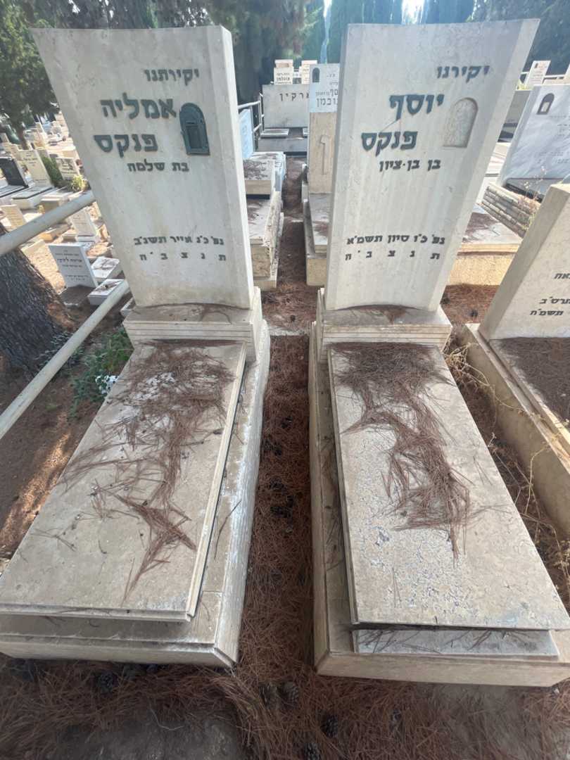 קברו של אמליה פנקס. תמונה 2