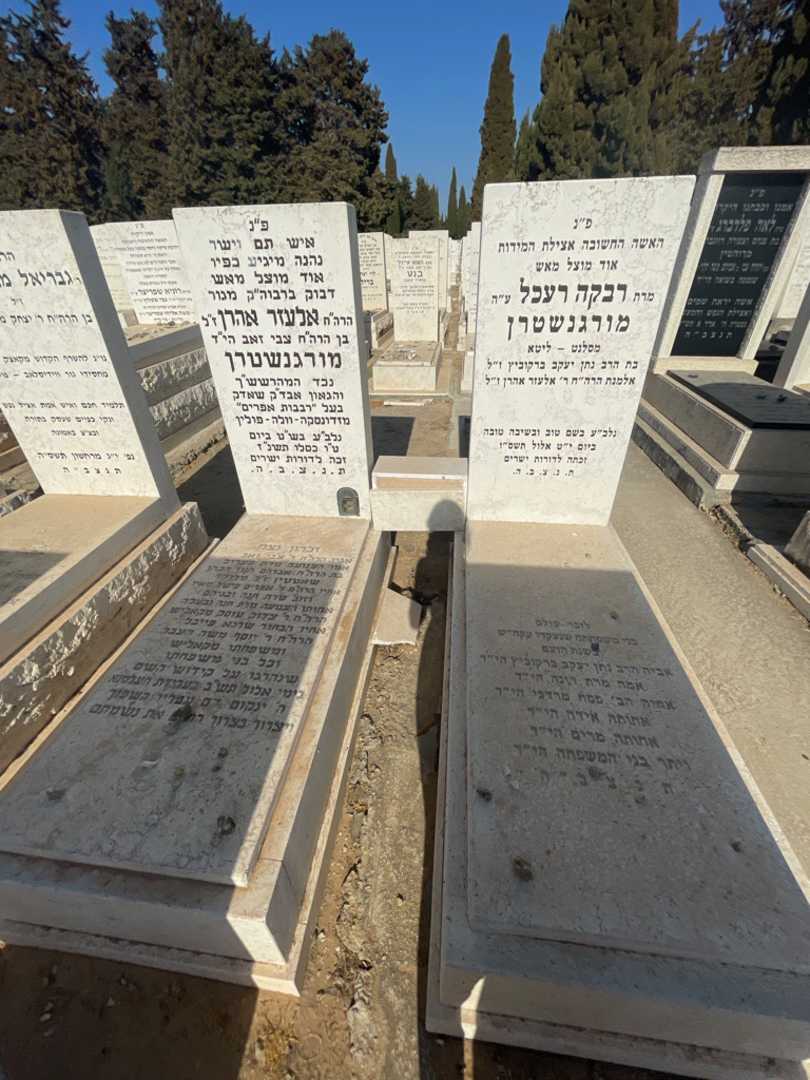 קברו של דינה ברקוביץ. תמונה 1