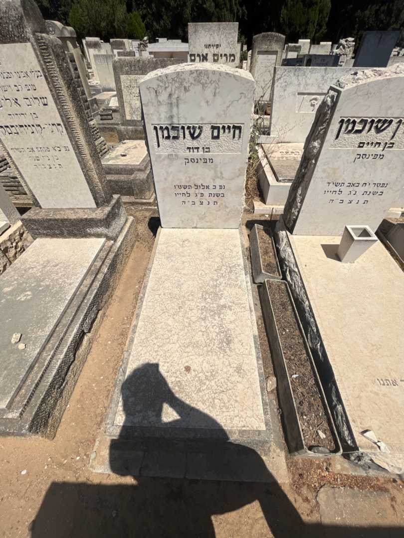 קברו של חיים שוכמן. תמונה 2