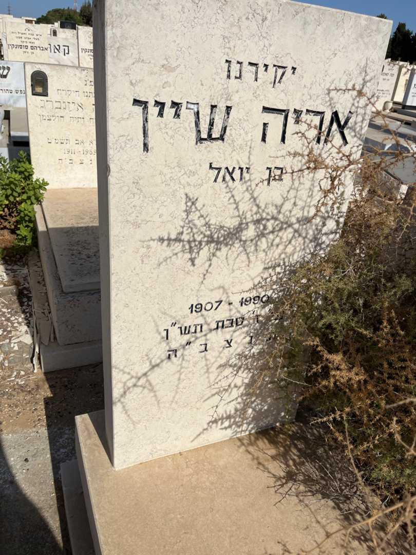 קברו של אריה שיין. תמונה 2