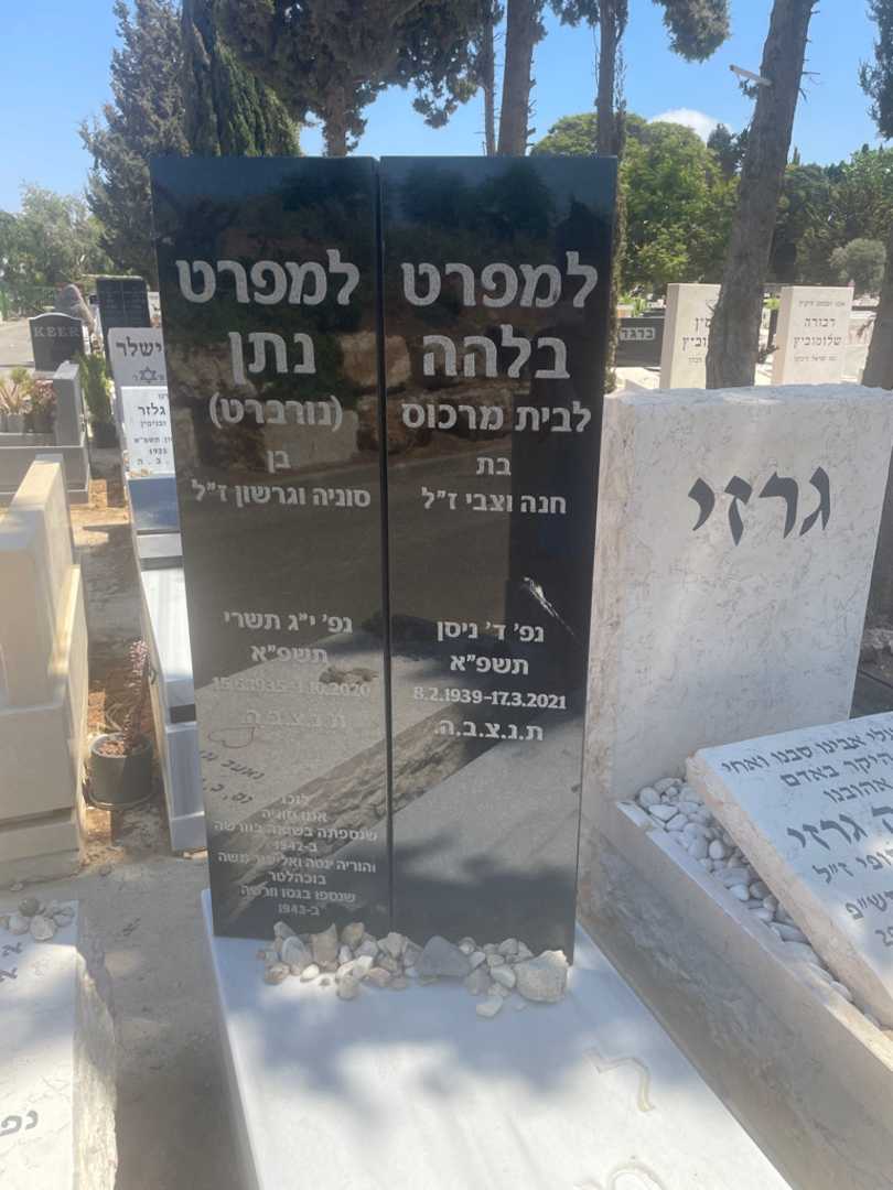 קברו של אליעזר משה בוכהלטר. תמונה 2
