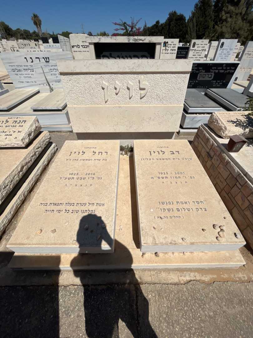 קברו של דב לוין. תמונה 2