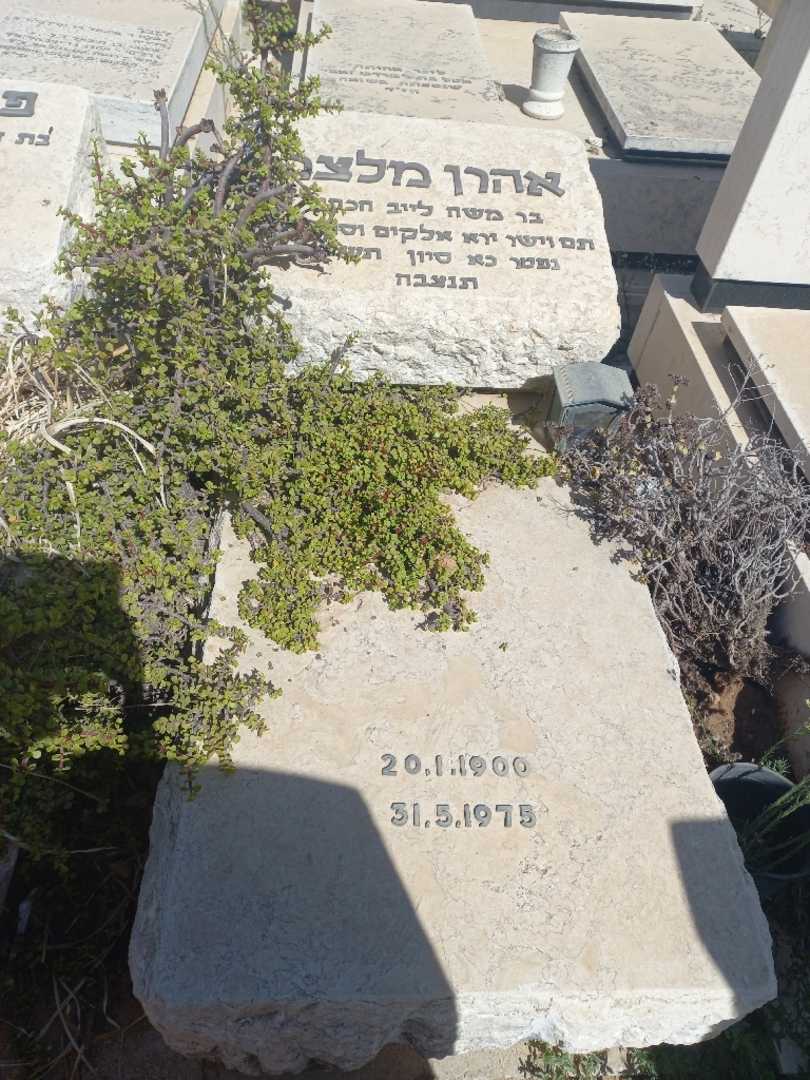 קברו של אהרן מלצר. תמונה 1