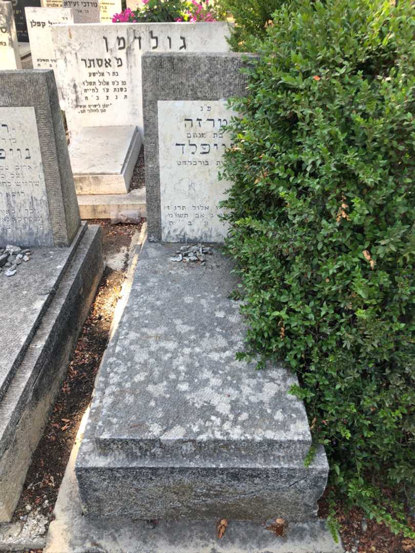 קברו של טרזה נויפלד. תמונה 1