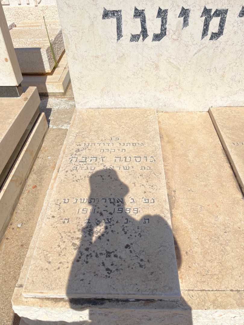 קברו של גוסטה זהבה פרמינגר. תמונה 2