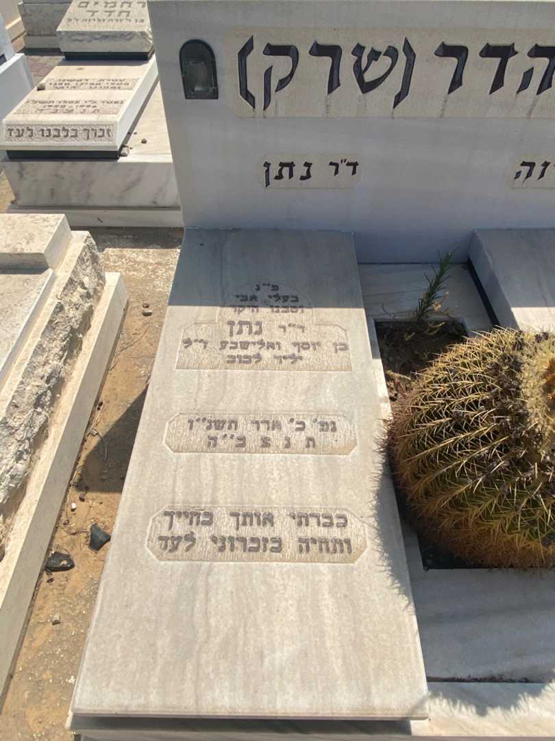 קברו של נתן בן-הדר (שרק). תמונה 1
