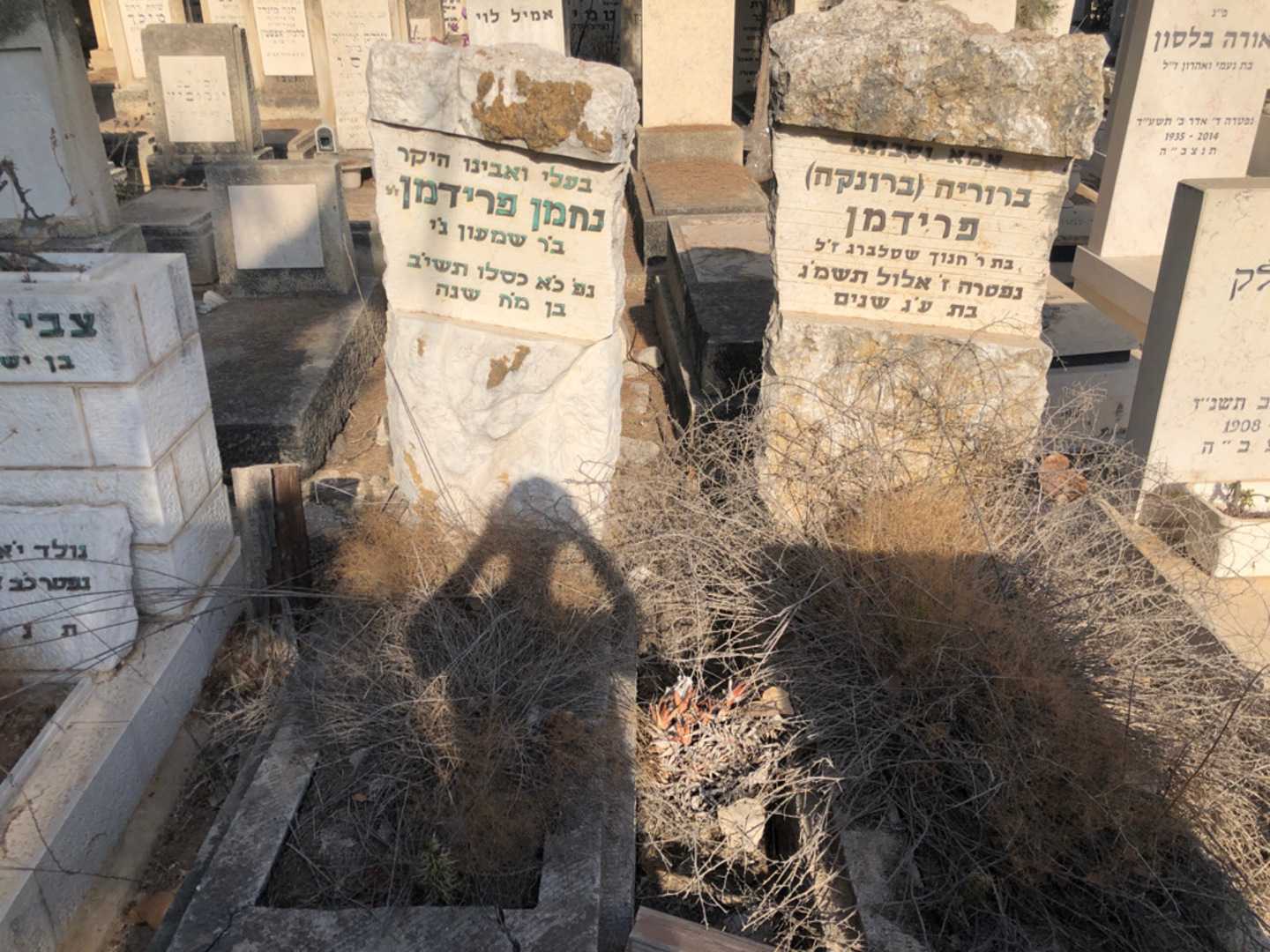 קברו של נחמן פרידמן. תמונה 1