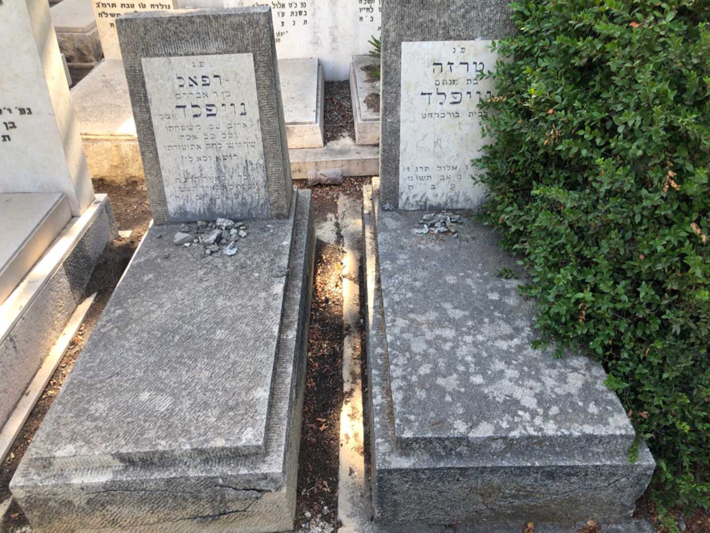 קברו של טרזה נויפלד. תמונה 2