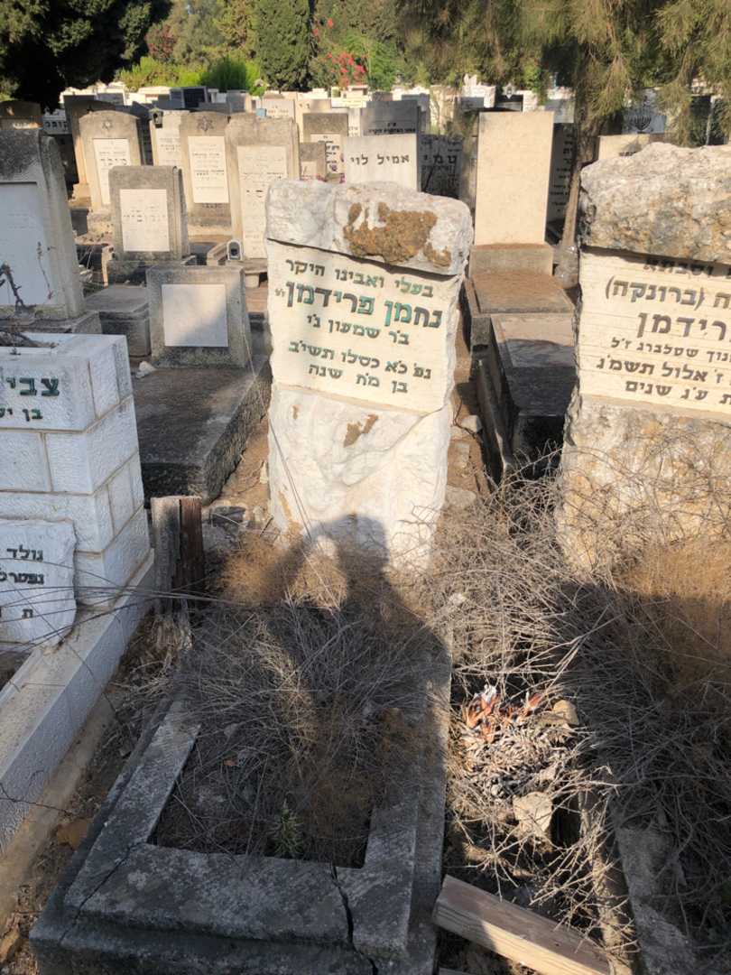 קברו של נחמן פרידמן. תמונה 2
