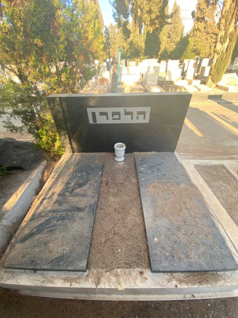 קברו של זיזי הלפרן. תמונה 1