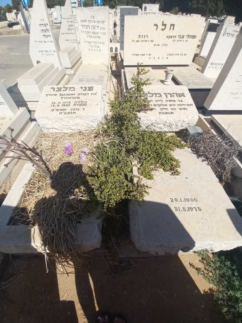 קברו של אהרן מלצר. תמונה 2