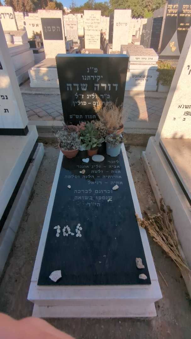קברו של דורה שדה