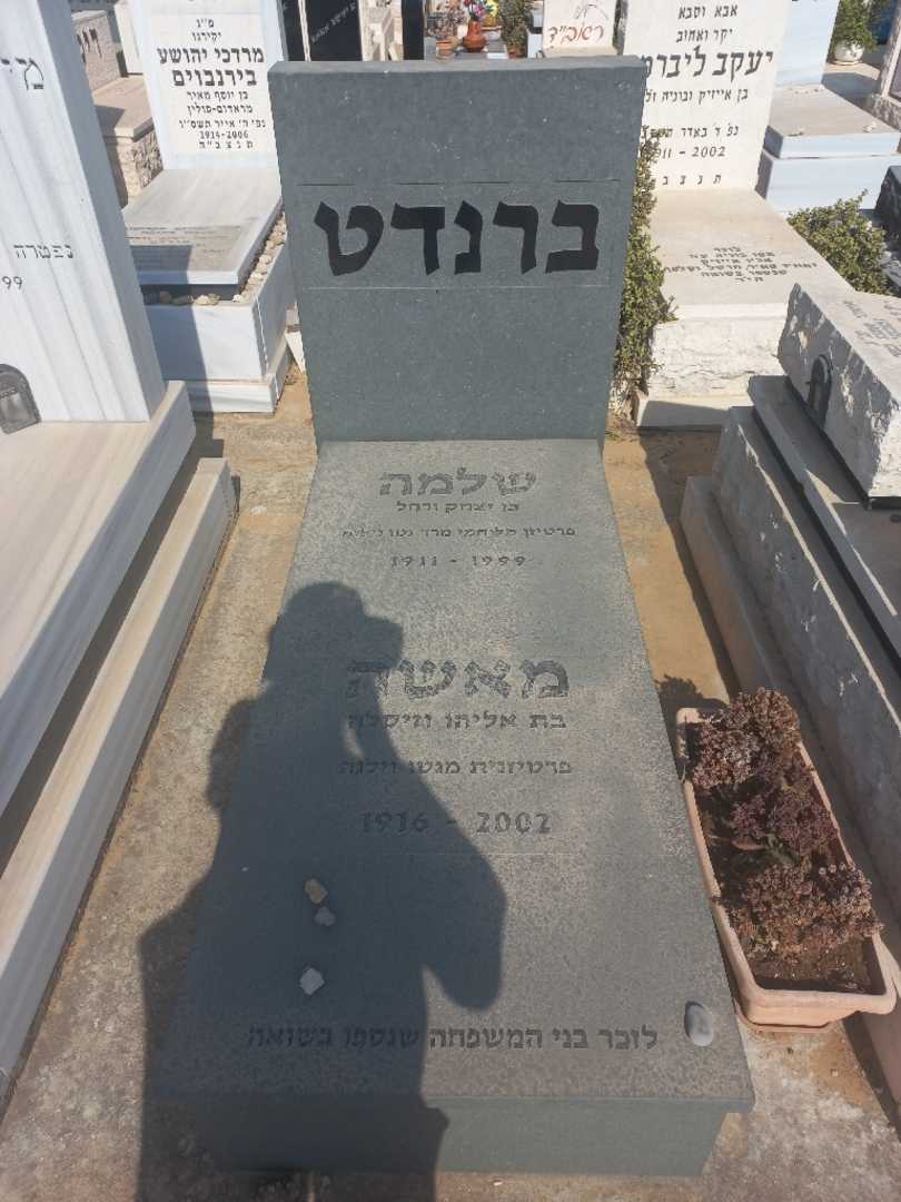 קברו של שלמה ברנדט