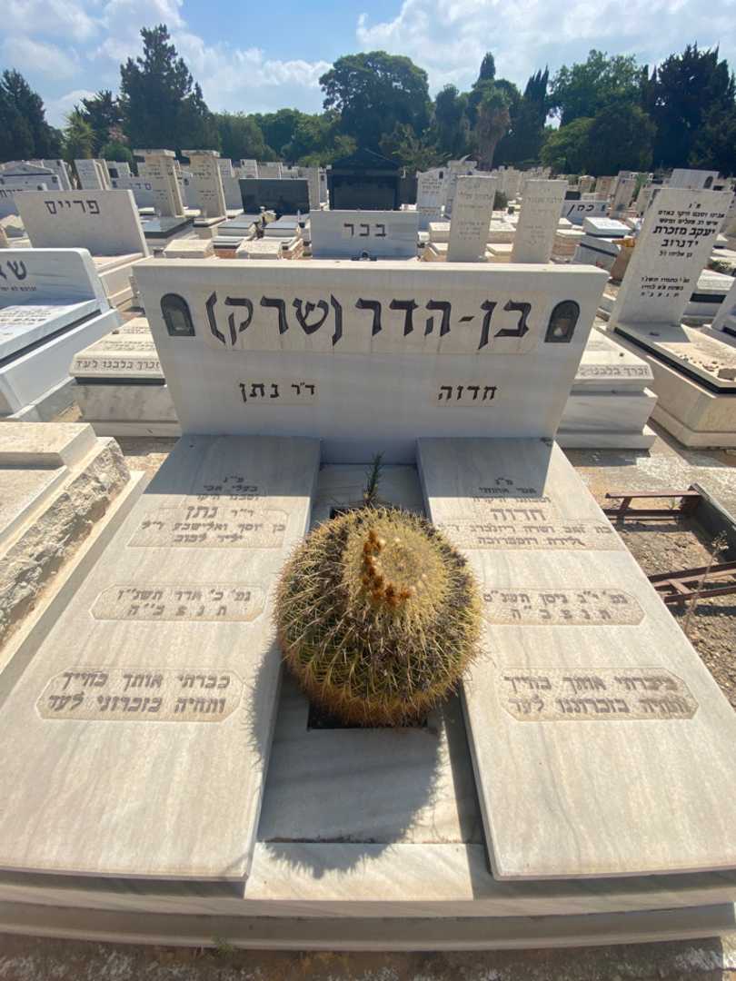 קברו של נתן בן-הדר (שרק). תמונה 2
