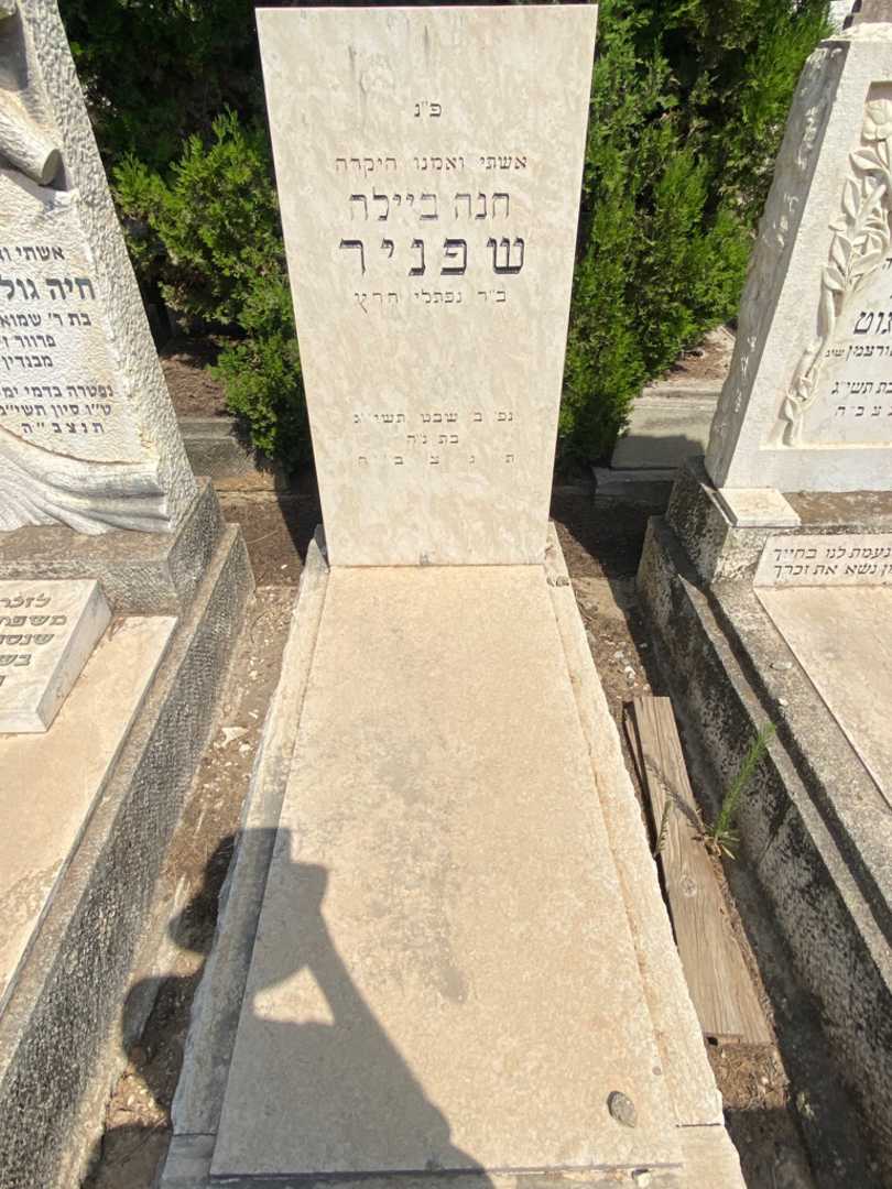 קברו של חנה ביילה שפניר הרץ