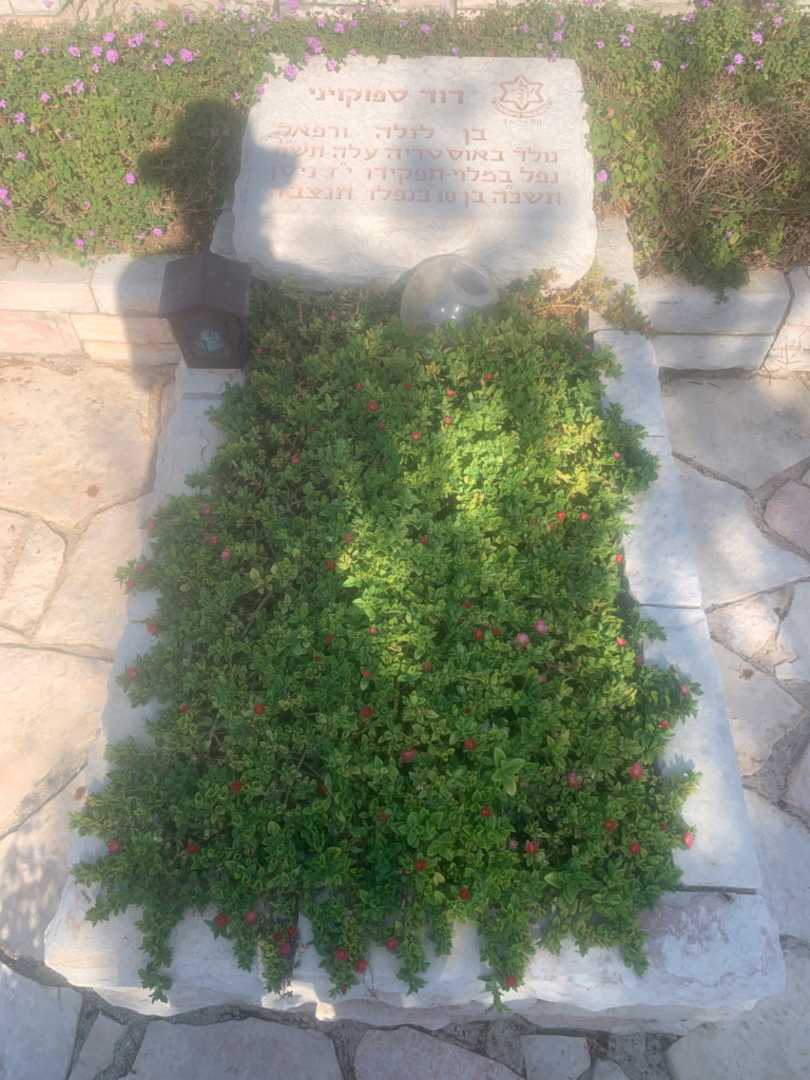 קברו של דוד ספוקויני