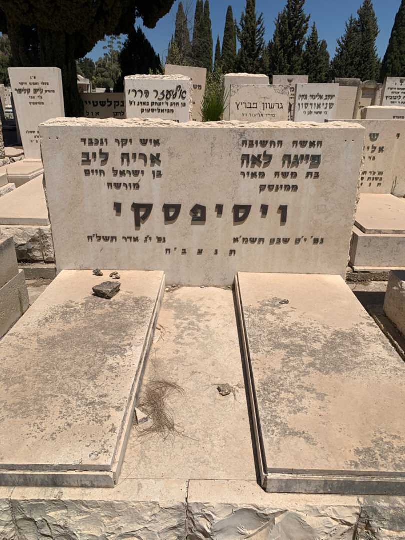 קברו של פייגה לאה ויסיפסקי. תמונה 1