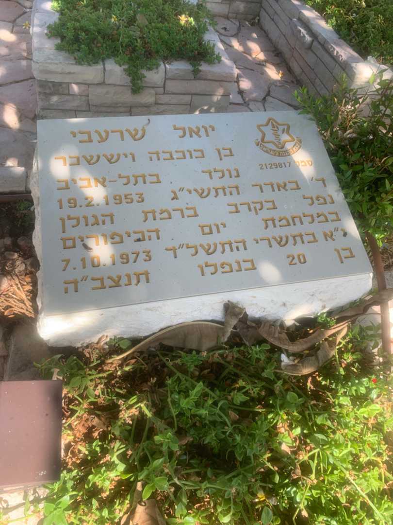 קברו של יואל שרעבי. תמונה 2