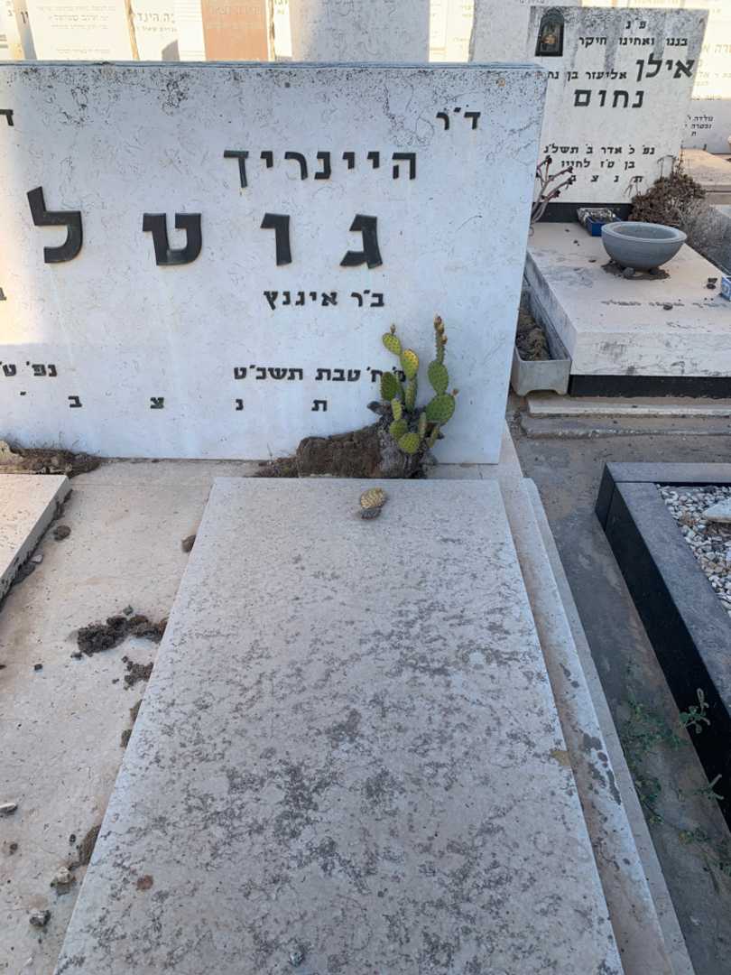 קברו של היינריך גוטליב. תמונה 2