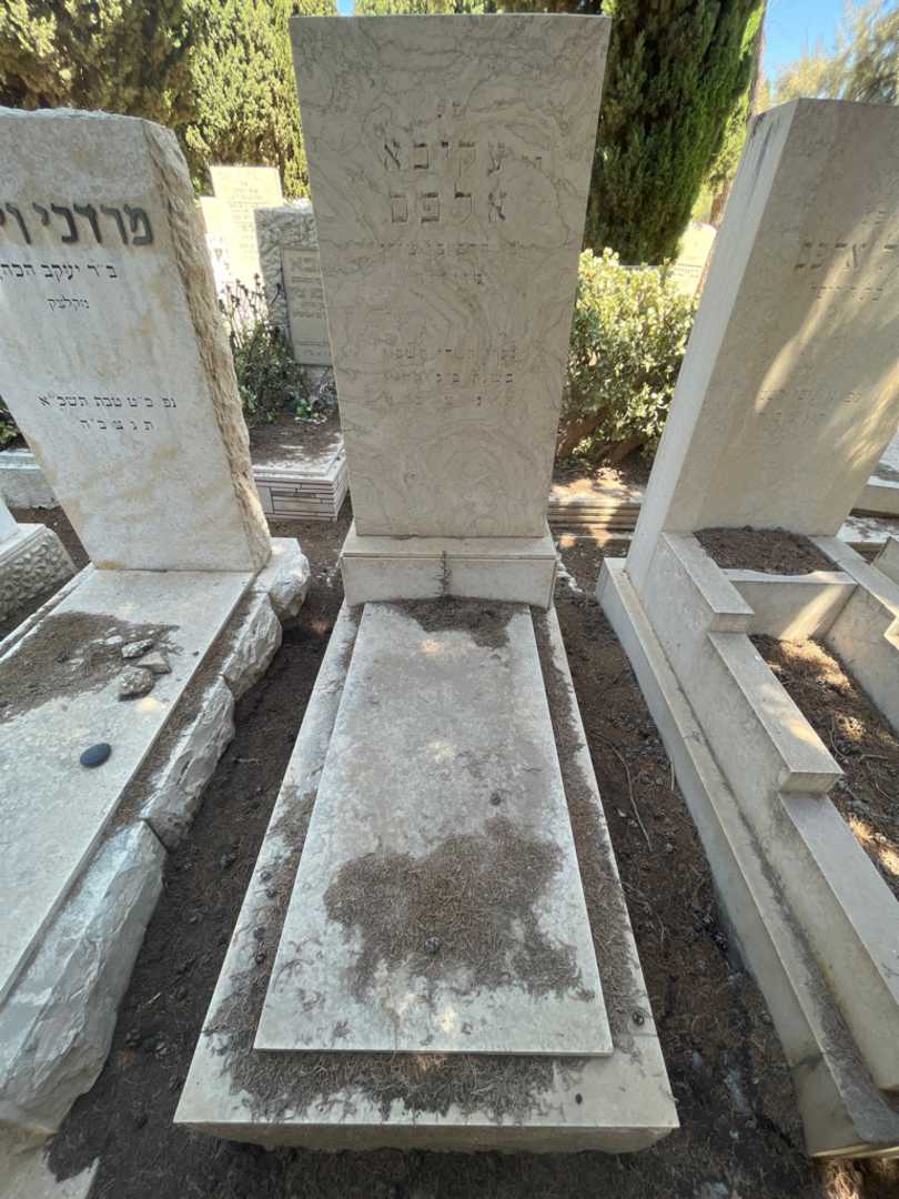 קברו של עקיבא אלפס