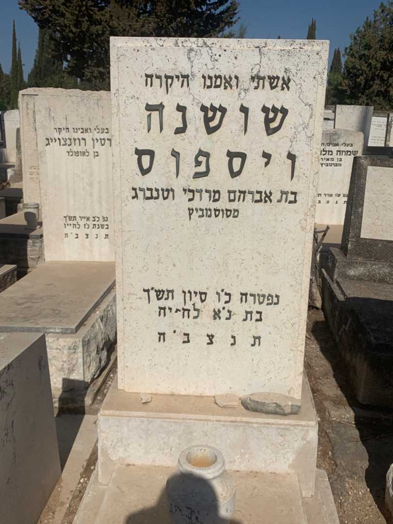 קברו של שושנה ויספוס