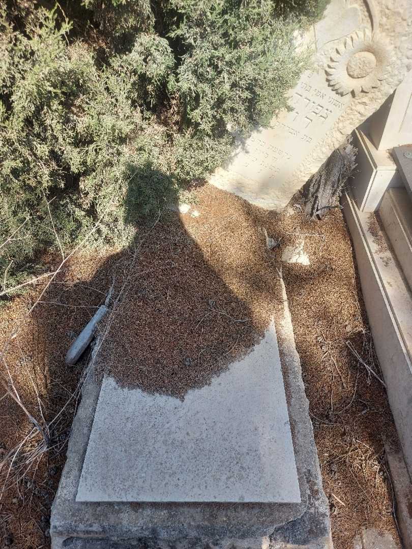 קברו של תפורה פייגה דויטש. תמונה 1